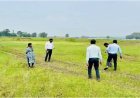 गिरदावरी का काम करना अब युवाओं के लिए भी हुआ आसान , डिजिटल फसल सर्वे के लिए दिया जा रहा है प्रशिक्षण