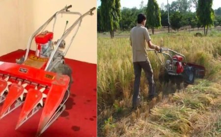 स्वचलित वर्टिकल कन्वेयर रीपर कृषि यंत्र क्या है? इसकी विशेषताएँ और सब्सिडी की जानकारी
