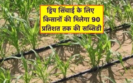 उत्तर प्रदेश : कम पानी में मिलेगा ज्यादा उत्पादन, सरकार ड्रिप सिंचाई की स्थापना के लिए देगी 90 प्रतिशत तक का अनुदान