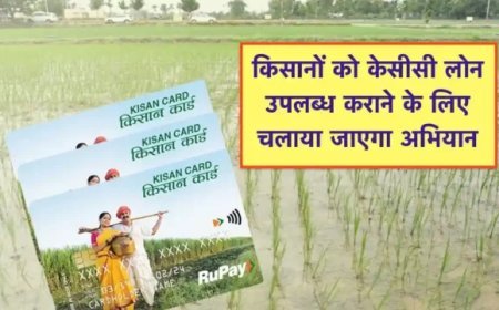 Uttar Pradesh : किसानों को क्रेडिट कार्ड पर उपलब्ध कराया जाएगा ऋण, इसके लिए 31 जुलाई तक  युद्धस्तर पर महाभियान चलाने के निर्देश