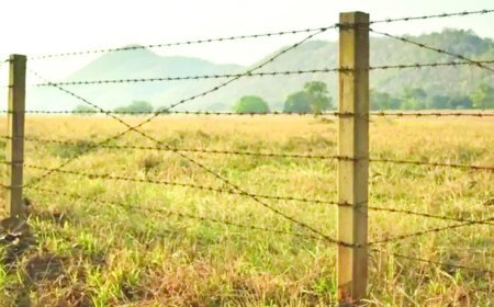 Uttar Pradesh : फसल सुरक्षा : तार फेसिंग पर 50 प्रतिशत अनुदान देगी सरकार