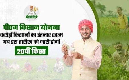 PM Kisan Samman 2025 :  किसानों का 20 वीं किस्त का इंतजार हुआ खत्म, प्रधानमंत्री 2 अगस्त को करेंगे जारी