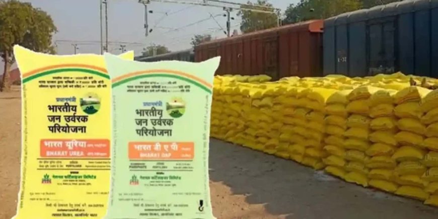Haryana:  3 से 4 दिनों में आएगी अतिरिक्त यूरिया और डीएपी खाद, कृषि मंत्री ने दिलाया भरोषा