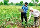 फार्मर आईडी के बिना नहीं मिलेगा योजना का लाभ