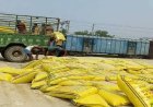 मानक पर खरी नहीं उतरी डीएपी खाद, ट्रक सहित जप्त