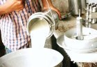 अब प्रति लीटर दूध पर मिलेगा 5 रुपये का बोनस