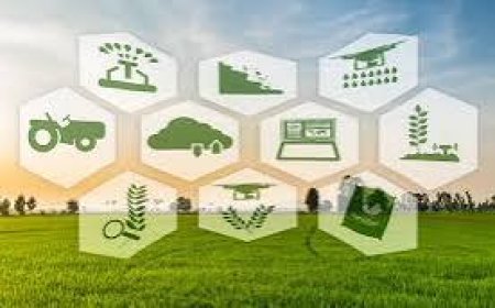 कृषि क्षेत्र में स्टार्टअप को दी गई सहायता राशि