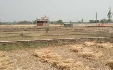 आज से खेत पर प्लाटिंग करने पर लगेगा जुर्माना और अतिरिक्त स्टांप शुल्क