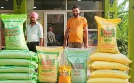 डीएपी और यूरिया की उपलब्धता सुनिश्चित करें कंपनियां : शाही