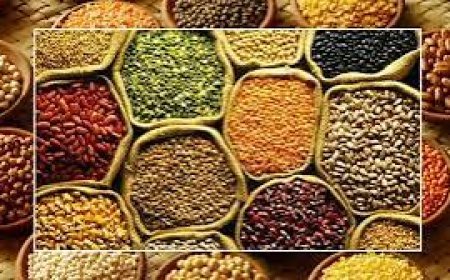 Indian Pulses Production: अधिक पैदावार  वाले संकर बीजों, मशीनीकरण और MSP से 80 लाख टन पहुंच सकता है दलहन उत्पादन