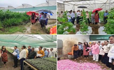 उन्नत खेती का कृषि आयुक्त ने लिया जायजा, की सराहना