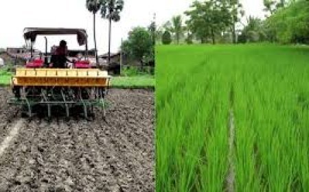 देश में 47 प्रतिशत काम कृषि मशीनों पर निर्भर