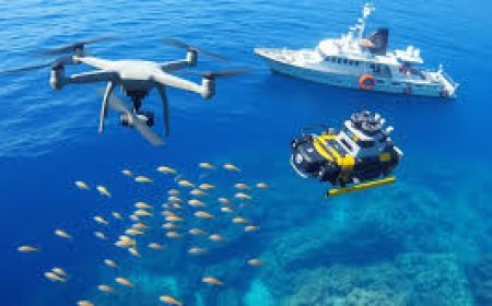 डिजिटल निगरानी व समुद्री गणनाएं मत्स्य क्षेत्र को नई रफ्तार