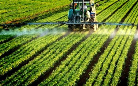 यह तकनीक अपनाएं किसान तो  होगा फ़ायदा