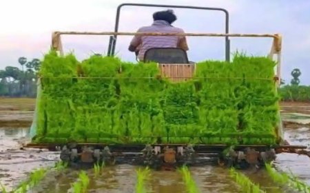 एक घंटे में लगेगी धान, किसानों को मिलेगा अनुदान