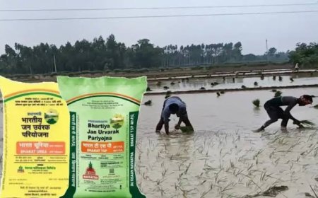 टीएसपी खाद के छिड़काव से फसलों को मिलेगा लाभ