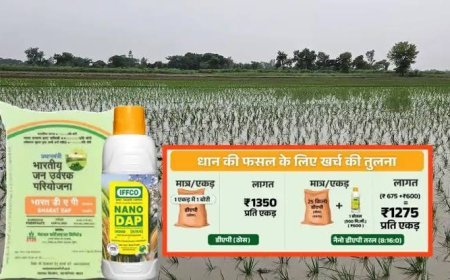 ऐसे करें नैनो डीएपी खाद का इस्तेमाल, बेहतर मिलेगा परिणाम