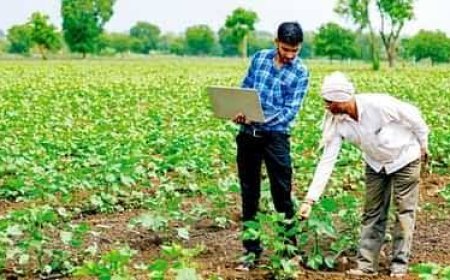 फार्मर आईडी के बिना नहीं मिलेगा योजना का लाभ