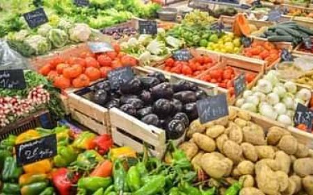 वैज्ञानिक खेती से उगाएं सब्जी, पाएं दोगुना लाभ