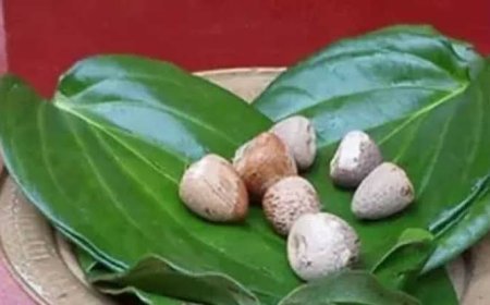 बांग्लादेश और म्यांमार से बढ़ा भारत को सुपारी निर्यात