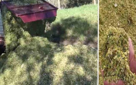 साइलेज इकाई स्थापित करने के लिए मिल रही 4 करोड़ रुपए तक की सब्सिडी