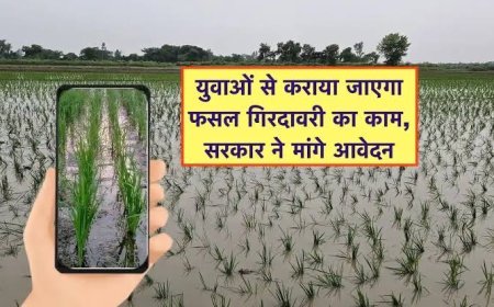अब युवा करेंगे फसल गिरदावरी का काम, मांगे गए आवेदन