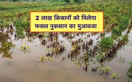 दो लाख किसानों को मिलेगा फसल बीमा राशि का भुगतान