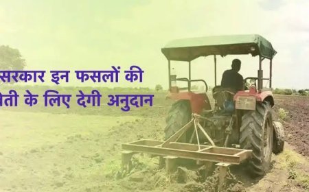 सरकार किसानों को इन फसलों की खेती के लिए देगी अनुदान