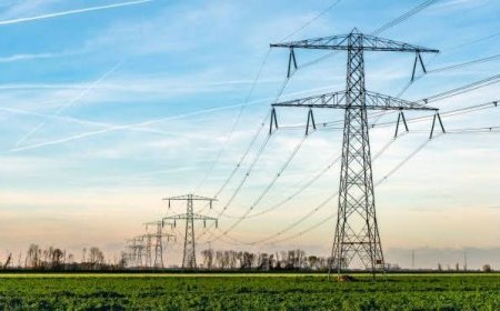 खेतों से बिजली लाइन जाने पर मिलेगा अतिरिक्त मुआवजा