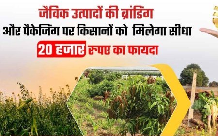 प्राकृतिक और जैविक मंडी की होगी स्थापना, किसानों को मिलेंगे 20 हजार रुपए