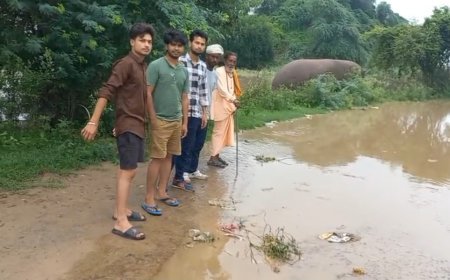 देखे ये वीडियो