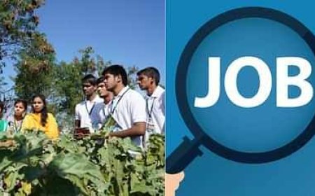 कृषि को आकर्षक बना रही सरकार, करियर के लिए युवाओं के पास बढ़िया विकल्प