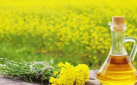 तिलहनी बीज उत्पादन में आत्मनिर्भरता के लिए सरकार ने उठाए  कदम