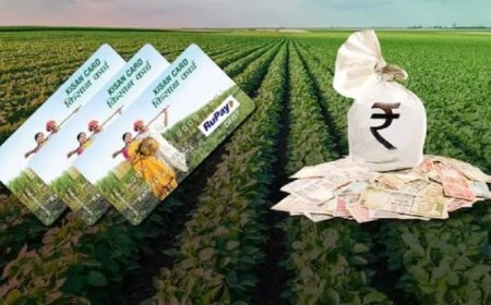 किसानों की जरूरतों की पूर्ति में किसान क्रेडिट कार्ड का अहम योगदान