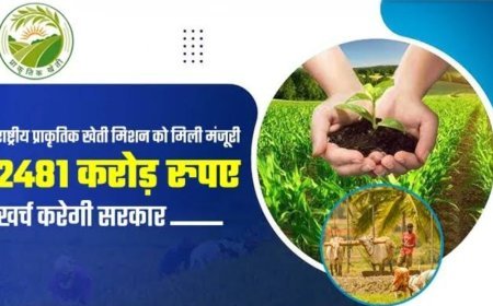 राष्ट्रीय प्राकृतिक खेती मिशन पर खर्च होंगे 2481 करोड़