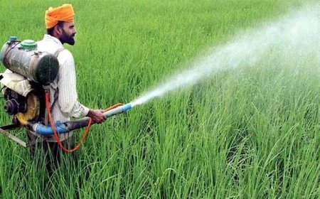 कीट नियंत्रण के लिए किसान फसलों पर करें इनका छिड़काव