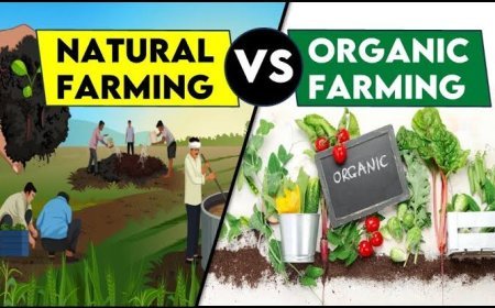 जैविक और प्राकृतिक खेती के महत्व