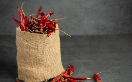 मिर्च के तीखेपन में आ रही गिरावट, मक्का व अन्य फसलों वरीयता दे रहे किसान