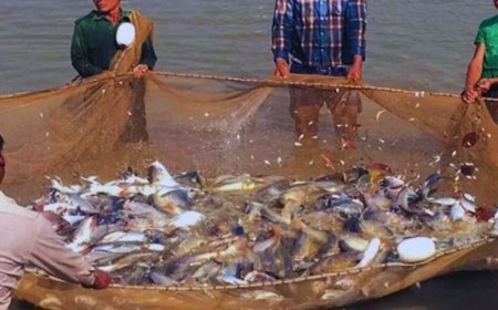 मत्स्य योजना में आजमाई किस्मत, आज कमा रहे लाखों रुपए