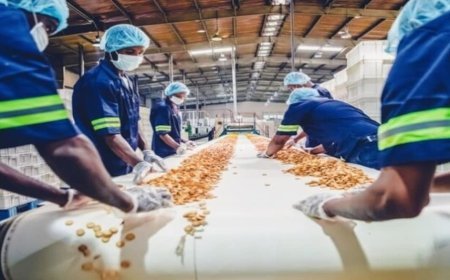 इन्क्यूबेशन सेंटर के स्थापित होने से खाद्य नवाचार का केंद्र बनेगा पटना