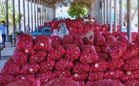 प्याज के दामों में अस्थिरता से परेशान हुए किसान