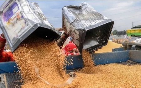 आढ़तियों की जायज मांगों को करेगी सरकार : श्याम सिंह राणा