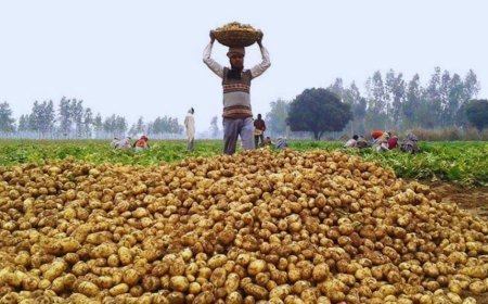 इस वीडियो की डिटेल खोजों