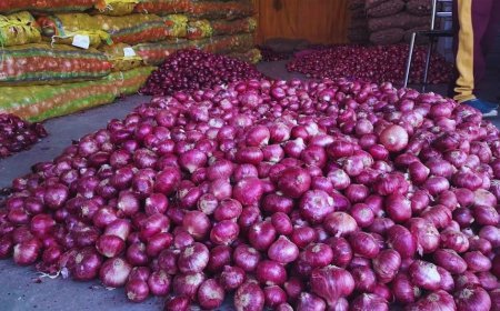 प्याज की गिरती कीमतों का समाधान निकालने के लिए सीएम को लिखा पत्र