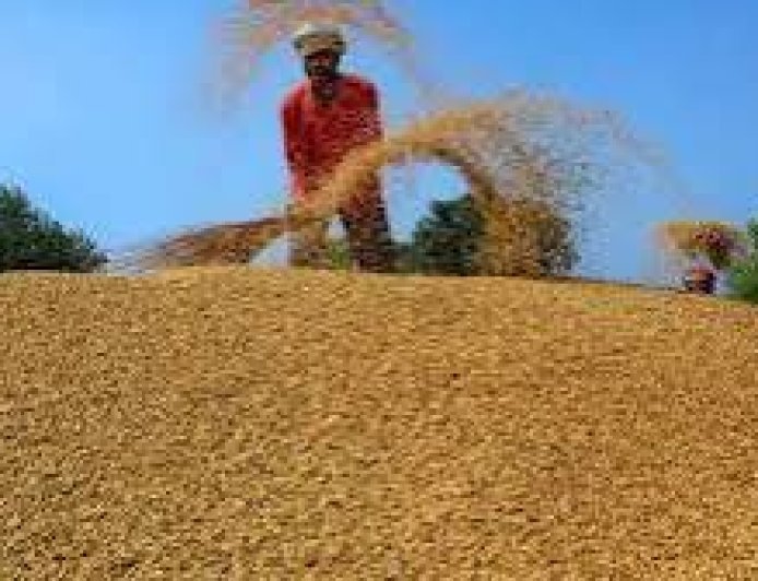 धान खरीद पर मिलेगा 100 रुपये प्रति क्विंटल का बोनस