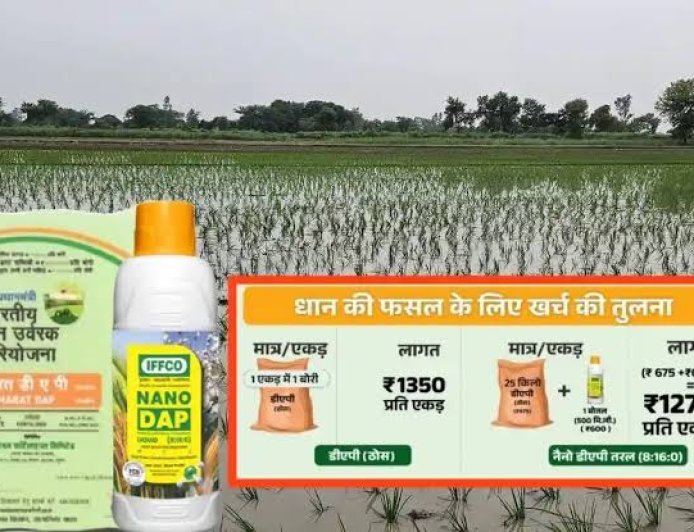 ऐसे करें नैनो डीएपी खाद का इस्तेमाल, बेहतर मिलेगा परिणाम