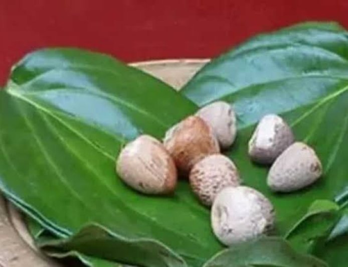 बांग्लादेश और म्यांमार से बढ़ा भारत को सुपारी निर्यात