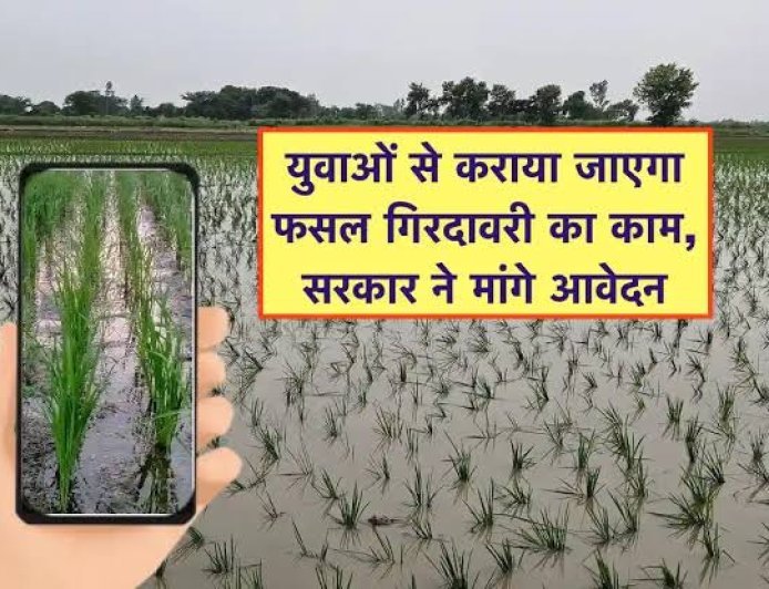 अब युवा करेंगे फसल गिरदावरी का काम, मांगे गए आवेदन