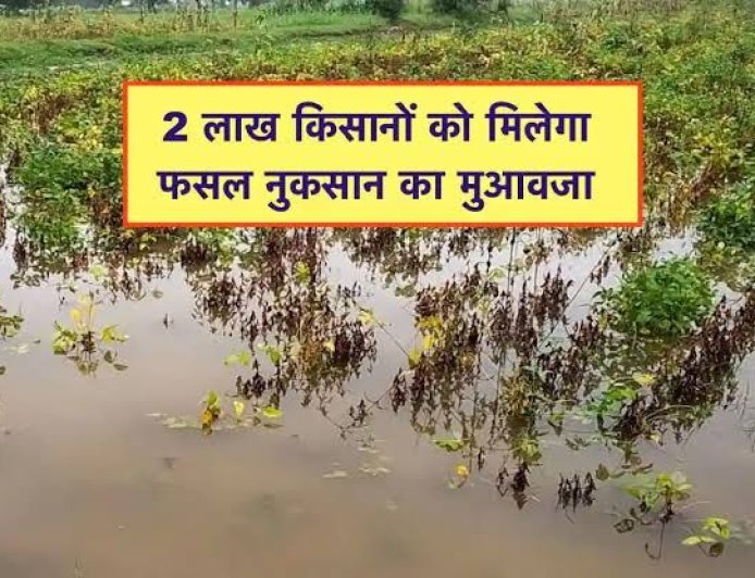 दो लाख किसानों को मिलेगा फसल बीमा राशि का भुगतान