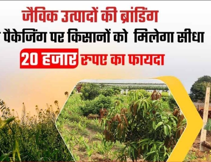 प्राकृतिक और जैविक मंडी की होगी स्थापना, किसानों को मिलेंगे 20 हजार रुपए